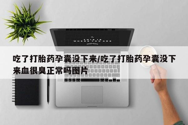 网上哪里有卖打胎药的联系方式吃了打胎药孕囊没下来/吃了打胎药孕囊没下来血很臭正常吗图片